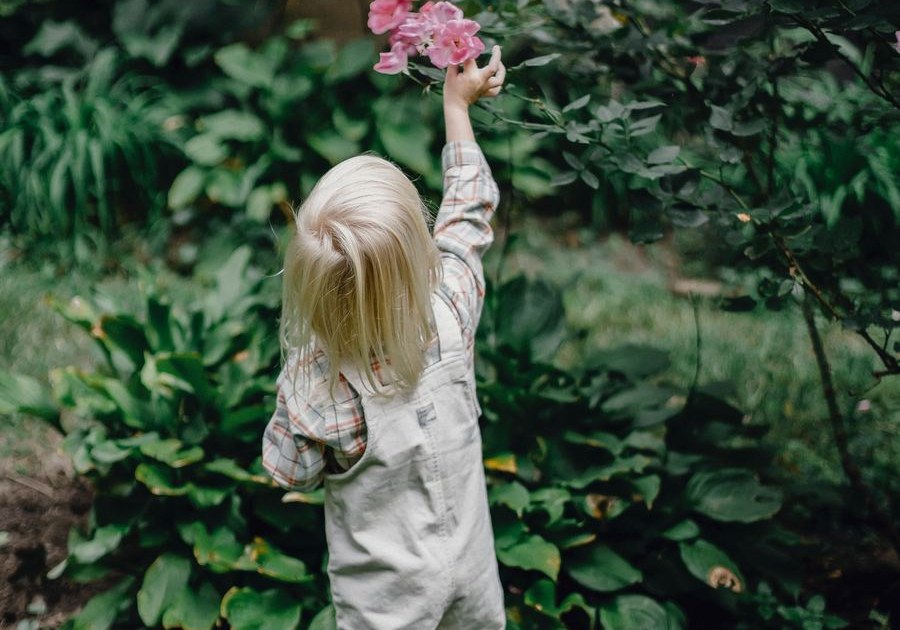 Kind entdeckt Blumen
